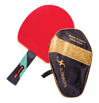 Paleta Ping Pong Xushaofa Madero T6008