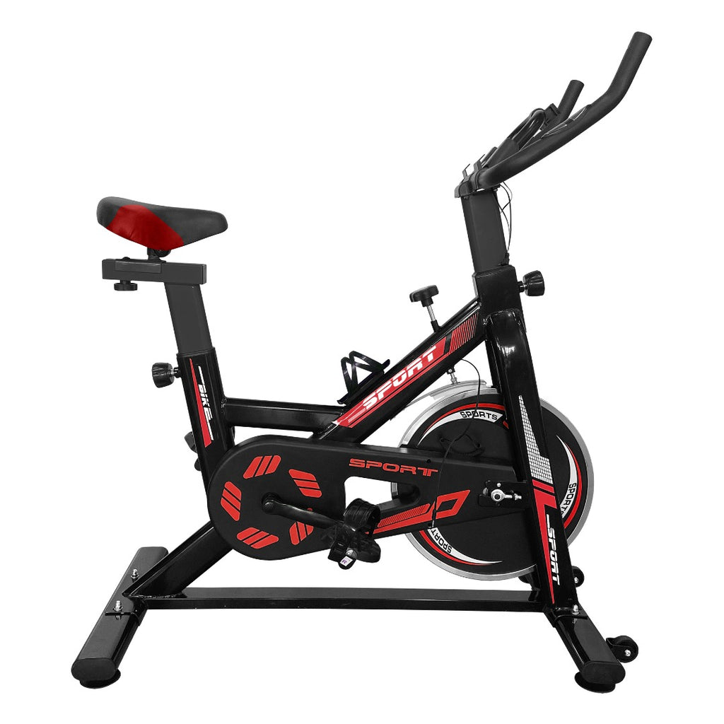 Spinning Bicicleta estatica PRO Z500 13Kg