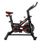 Spinning Bicicleta estatica PRO Z500 13Kg