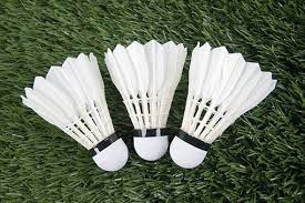 Set 3 Plumillas de Badminton de Pluma natural Flott