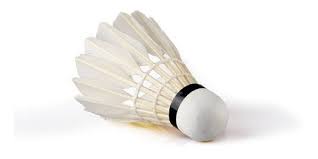 Set 3 Plumillas de Badminton de Pluma natural Flott
